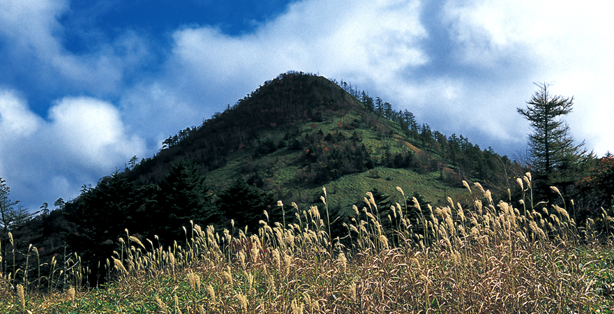 笠取山の山容